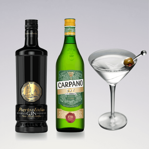 Bottle of gin, dry vermouth, and a classic dry martini cocktail with olive garnish