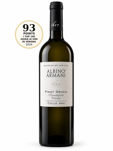 Albino Armani Colle Ara Pinot Grigio 2022 Dry white wine 13% (Italy). Front bottle with 93/100 I Top 100 Guida ai Vini di Verona 2024 score badge.