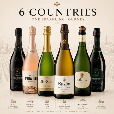 Sparkling Wine Bottle Collection International Brut & Rose🥂🌍