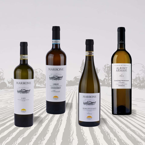 Four bottles of Italian white wine from the White Italian Wine Set, showcasing Gavi, Chardonnay, Moscato d'Asti, and Gewürztraminer labels.