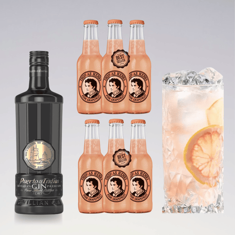 Gin and Tonic Cocktail  From Alcozon