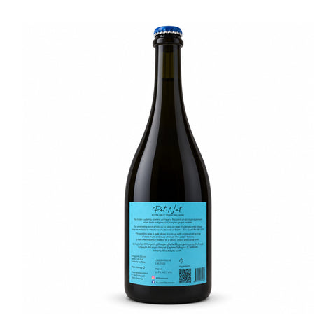Tiko Estate Pet-Nat Khikhvi Extra Brut 2024 750ml 11% back bottle