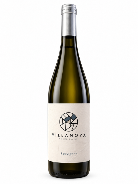 Villanova Sauvignon 2022 Friuli Isonzo DOC 750ml 13% — front bottle on white background
